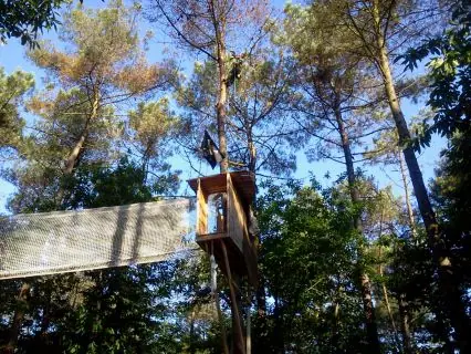 Une plateforme de parcours acrobatique dans des pins