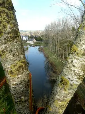 Vue depuis le haut d’un peuplier, un étang en contrebas