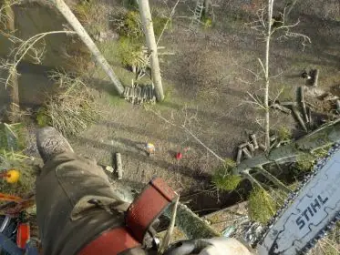Vue du grimpeur dans l’arbre : ses jambes, sa tronçonneuse, le sol très loin